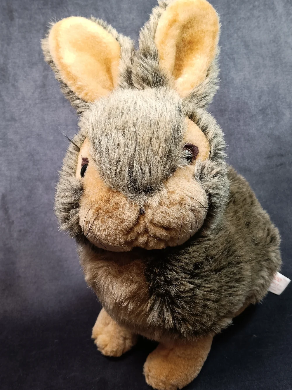 Plush Brown & Soft Cuddly Companion By DanDee